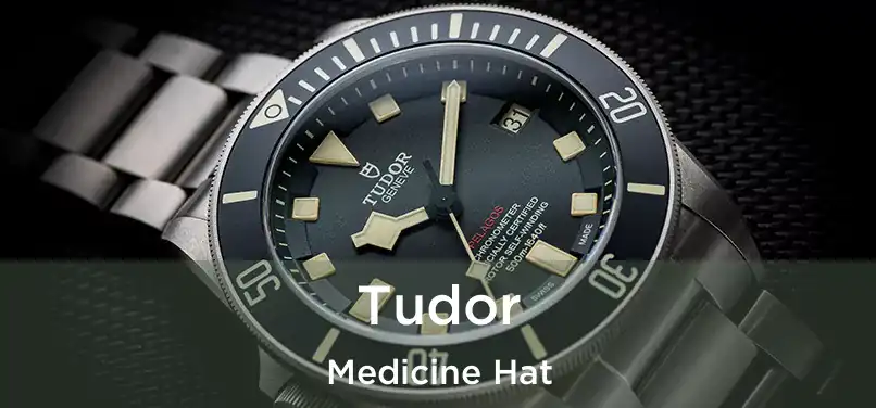  Tudor Medicine Hat